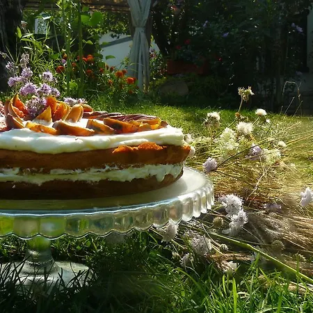 Dan Kolov 게스트하우스 3*