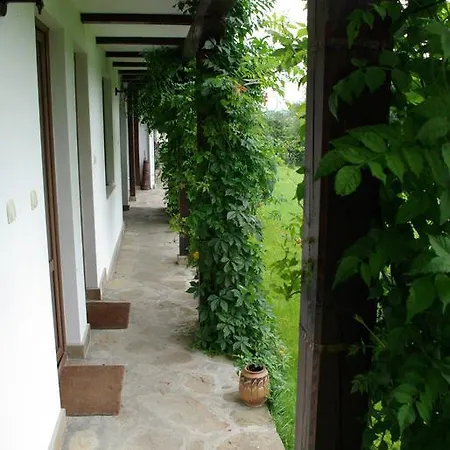 Dan Kolov Guest house Sennik